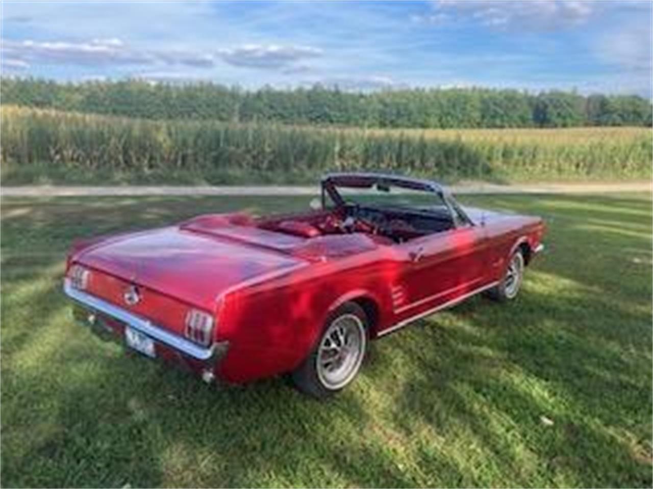 Ford-Mustang-1966-Red-Red-4