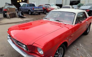 Ford-Mustang-1966-Red-Redwhite-1