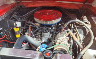 Ford-Mustang-1966-Red-Redwhite-8