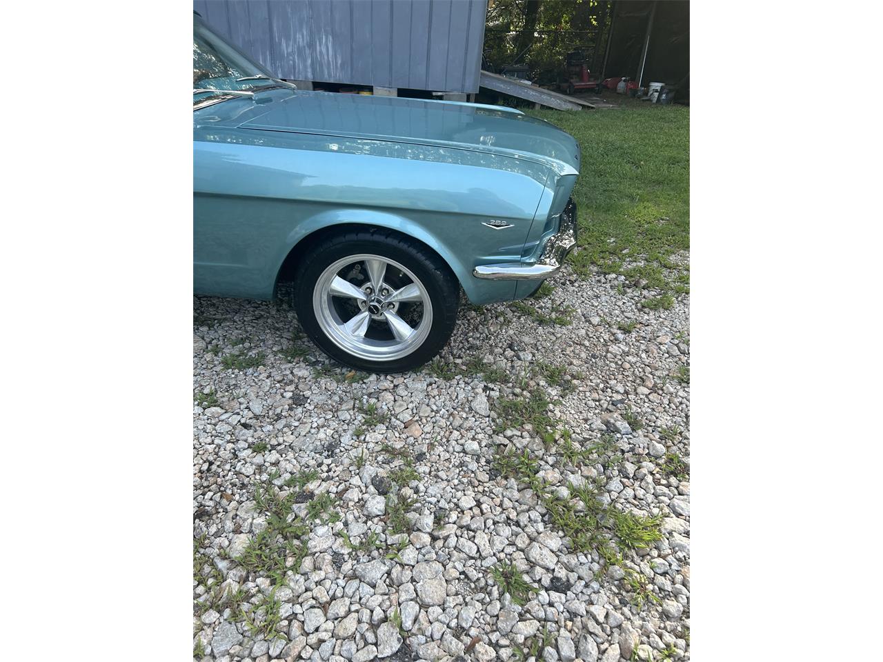 Ford-Mustang-1966-Turquoise-Turquoise-and-white-3