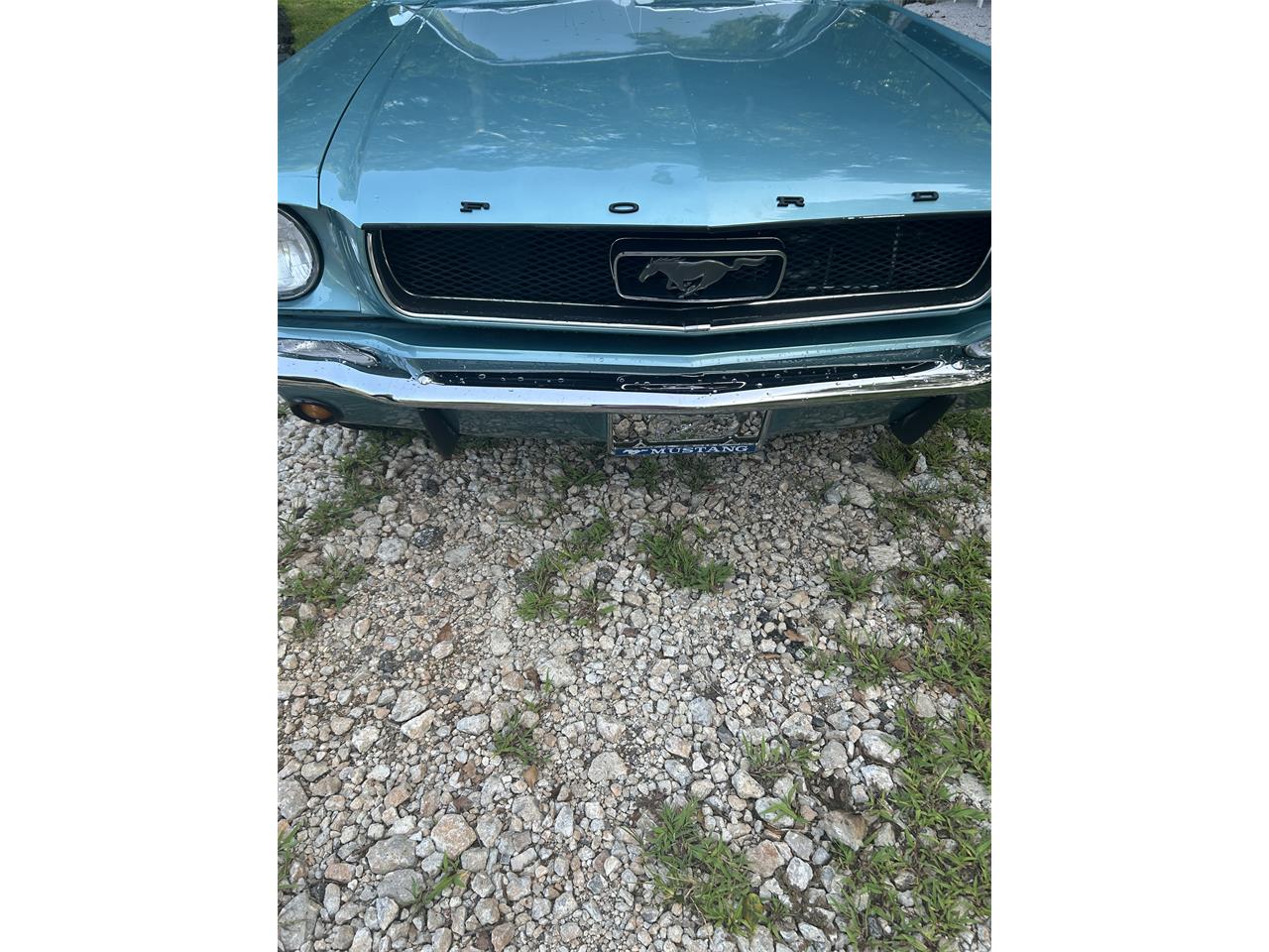 Ford-Mustang-1966-Turquoise-Turquoise-and-white-4
