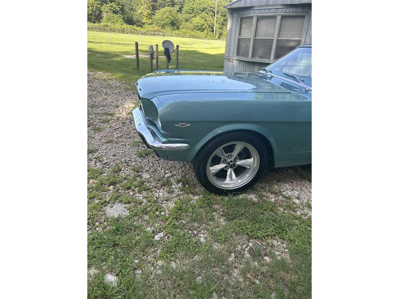 Ford-Mustang-1966-Turquoise-Turquoise-and-white-8