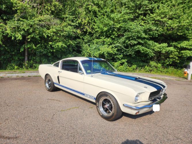 Ford-Mustang-1966-WhiteBlue-Stripe-Black-1