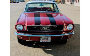 Ford-Mustang-1966-WhiteRedBurgundy-Red-15