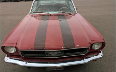Ford-Mustang-1966-WhiteRedBurgundy-Red-16