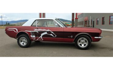 Ford-Mustang-1966-WhiteRedBurgundy-Red-3