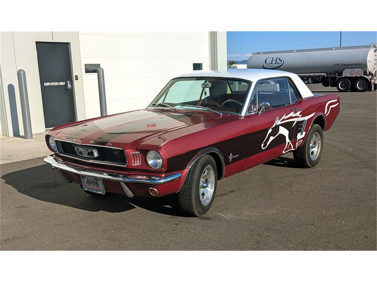 Ford-Mustang-1966-WhiteRedBurgundy-Red-5
