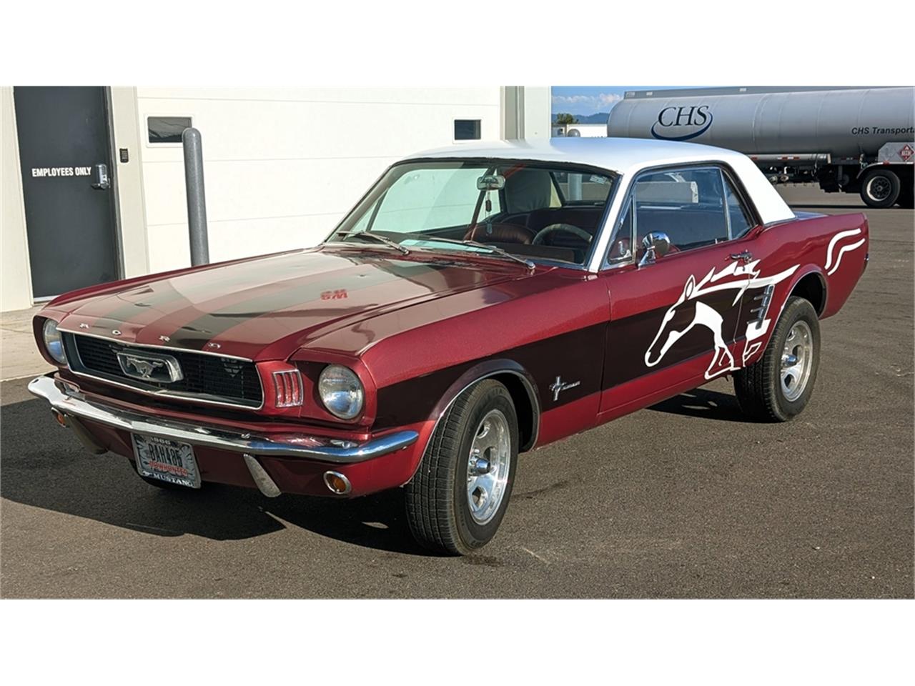 Ford-Mustang-1966-WhiteRedBurgundy-Red-50