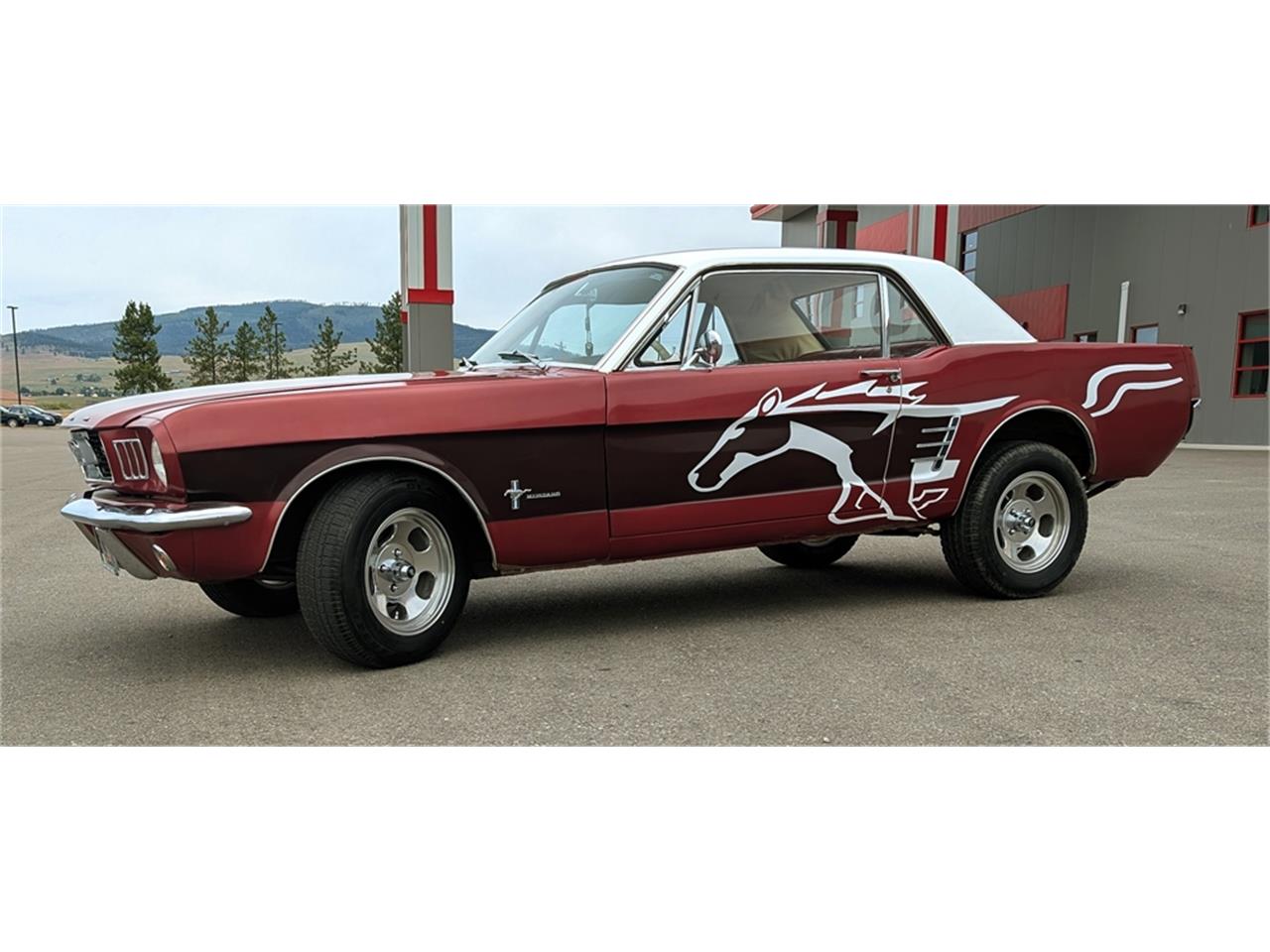 Ford-Mustang-1966-WhiteRedBurgundy-Red-7