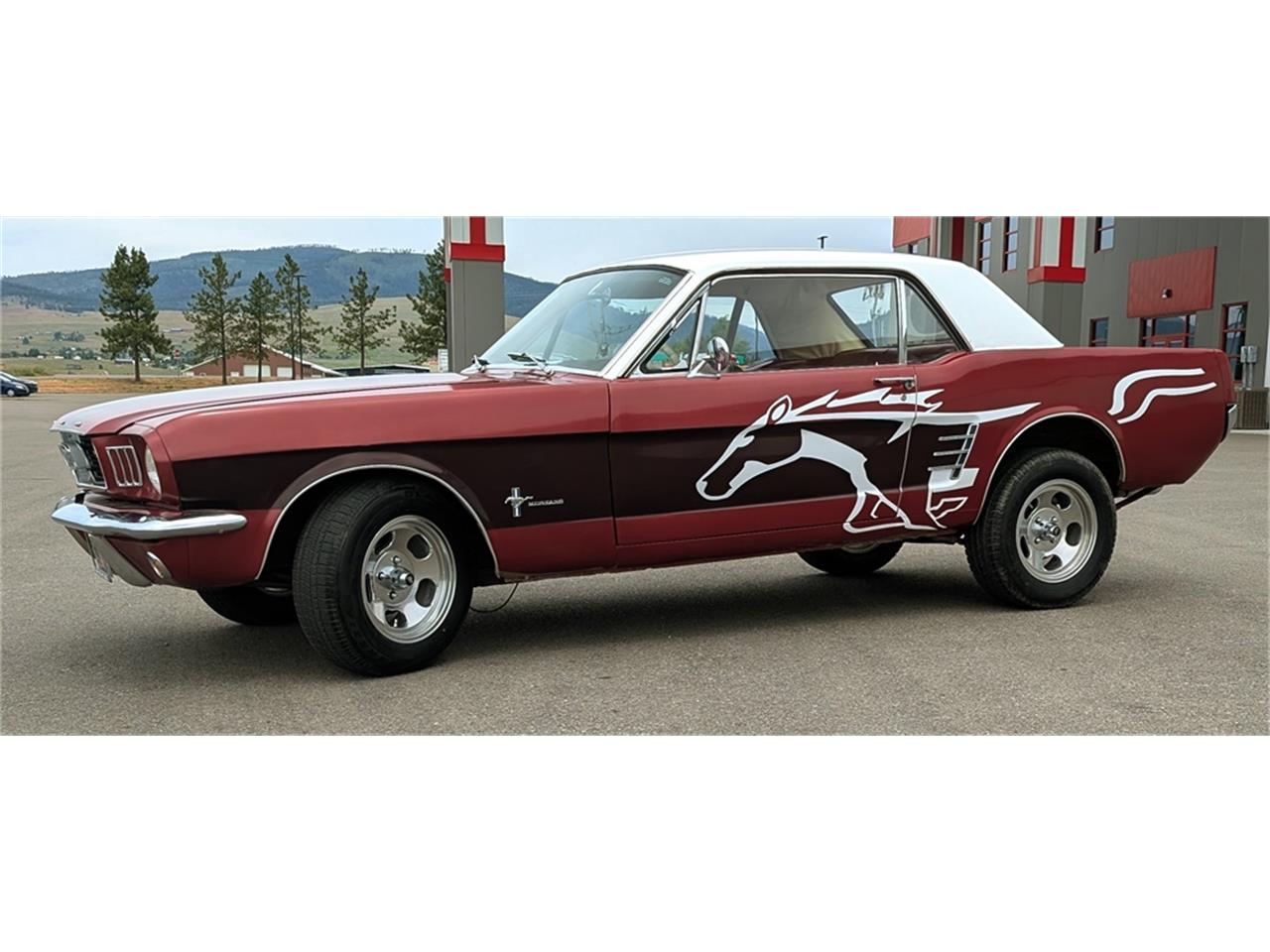 Ford-Mustang-1966-WhiteRedBurgundy-Red-8