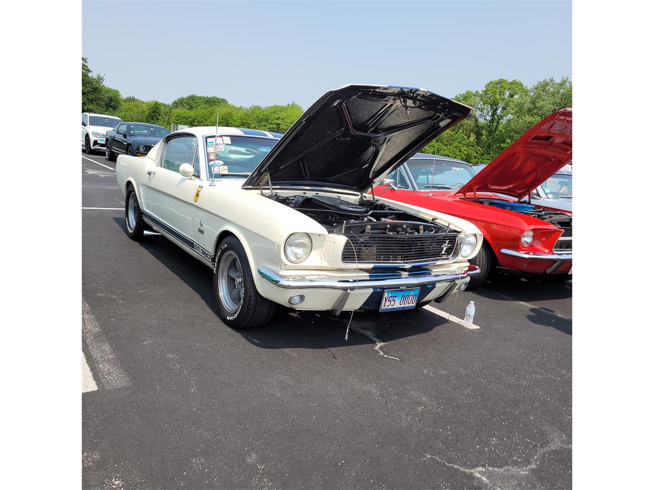 Ford-Mustang-1966-Wimbledon-White-Black-3