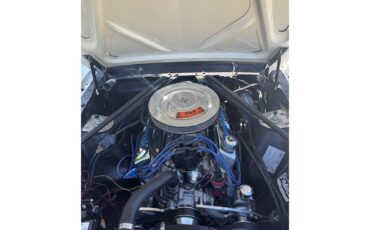 Ford-Mustang-1966-Wimbledon-White-Burgundy-10