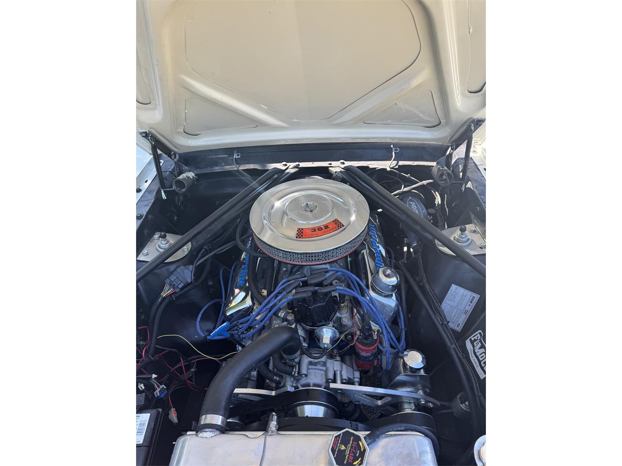 Ford-Mustang-1966-Wimbledon-White-Burgundy-10