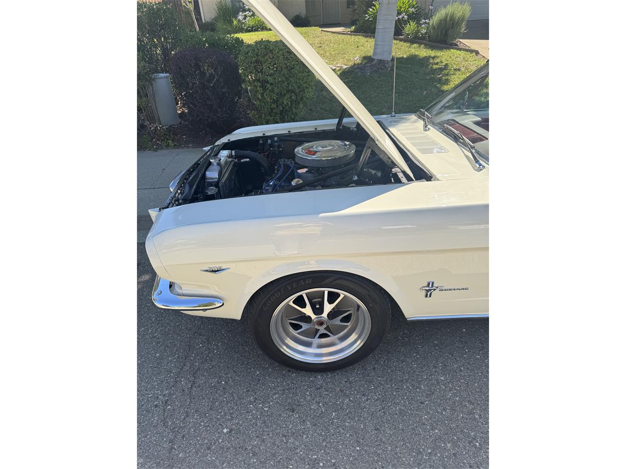 Ford-Mustang-1966-Wimbledon-White-Burgundy-11