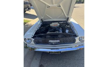 Ford-Mustang-1966-Wimbledon-White-Burgundy-13
