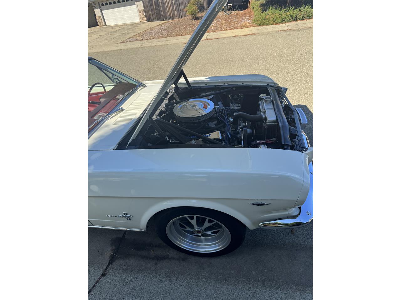 Ford-Mustang-1966-Wimbledon-White-Burgundy-14