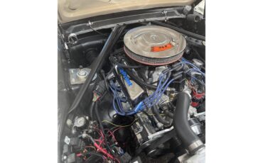 Ford-Mustang-1966-Wimbledon-White-Burgundy-4