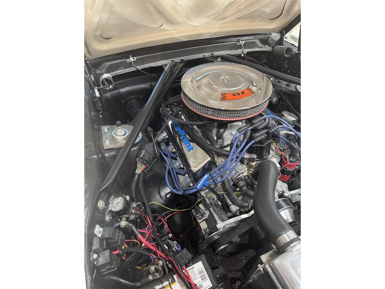Ford-Mustang-1966-Wimbledon-White-Burgundy-4