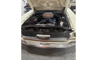 Ford-Mustang-1966-Wimbledon-White-Burgundy-5