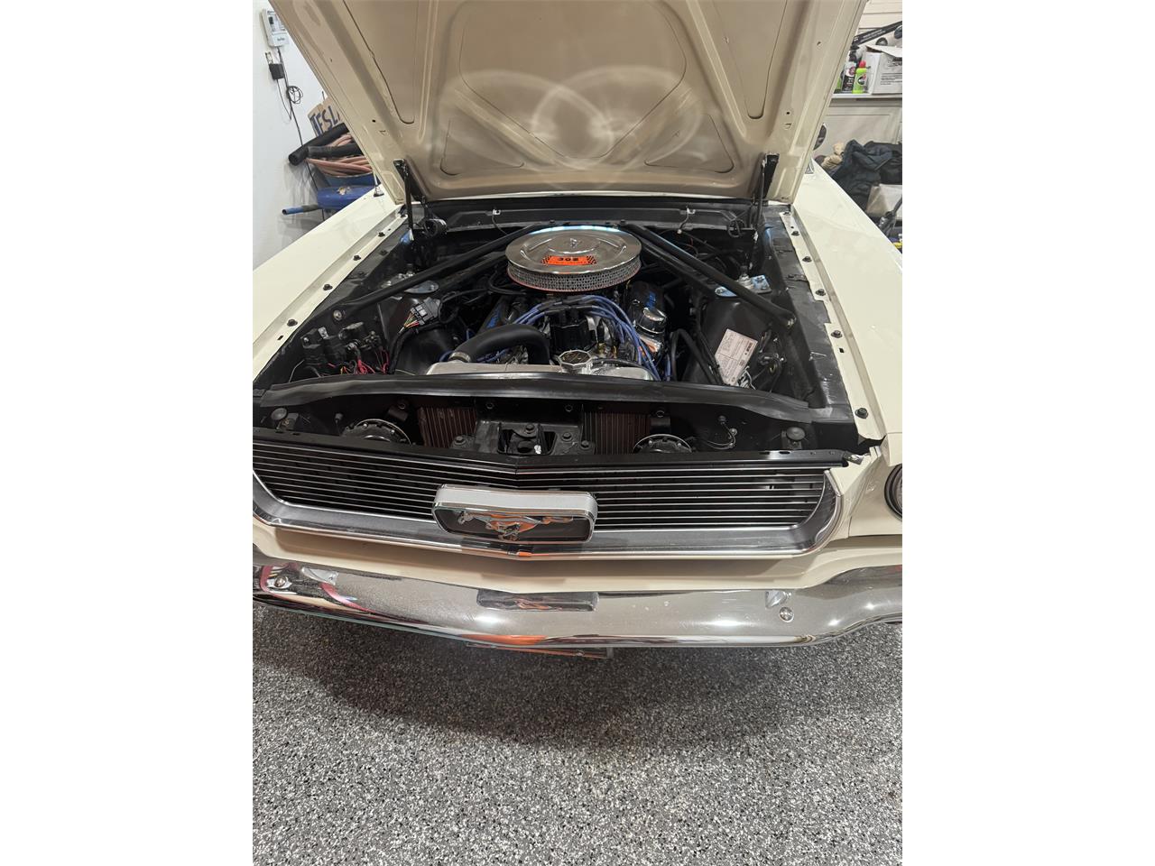 Ford-Mustang-1966-Wimbledon-White-Burgundy-5