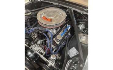 Ford-Mustang-1966-Wimbledon-White-Burgundy-6