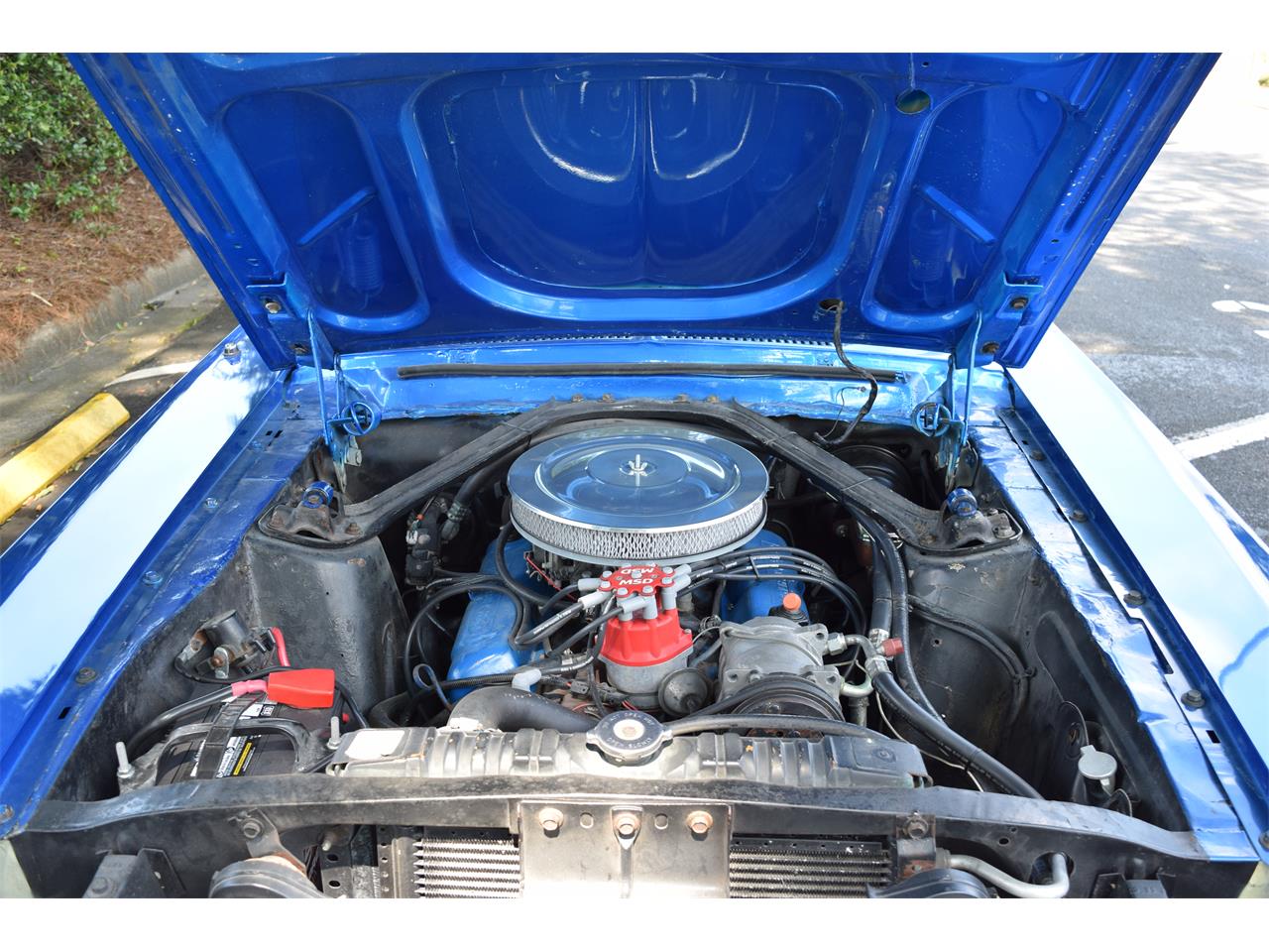 Ford-Mustang-1967-Blue-Blue-2