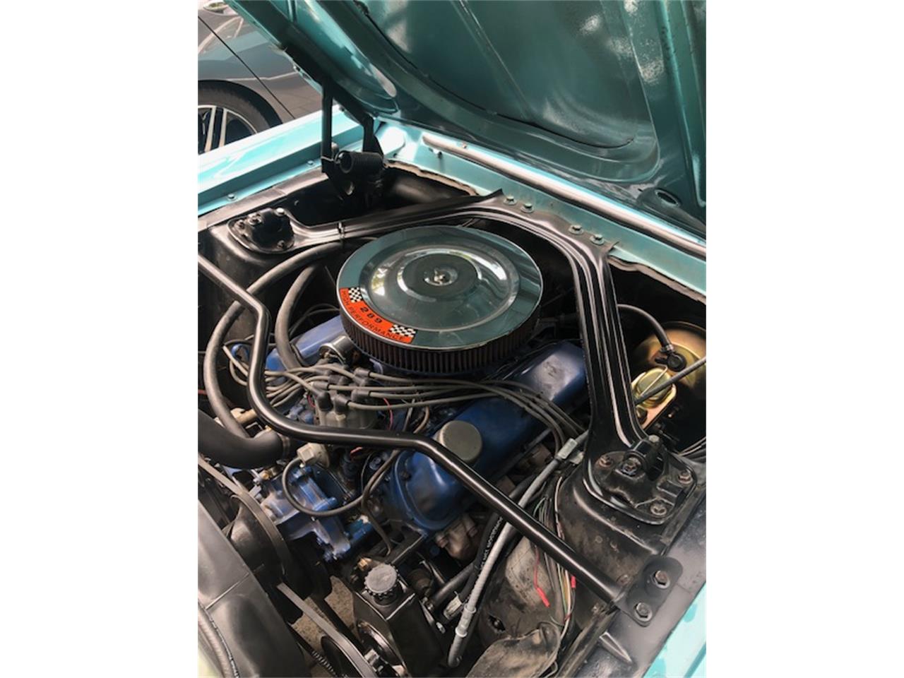 Ford-Mustang-1967-Clearwater-Aqua-Aqua-10