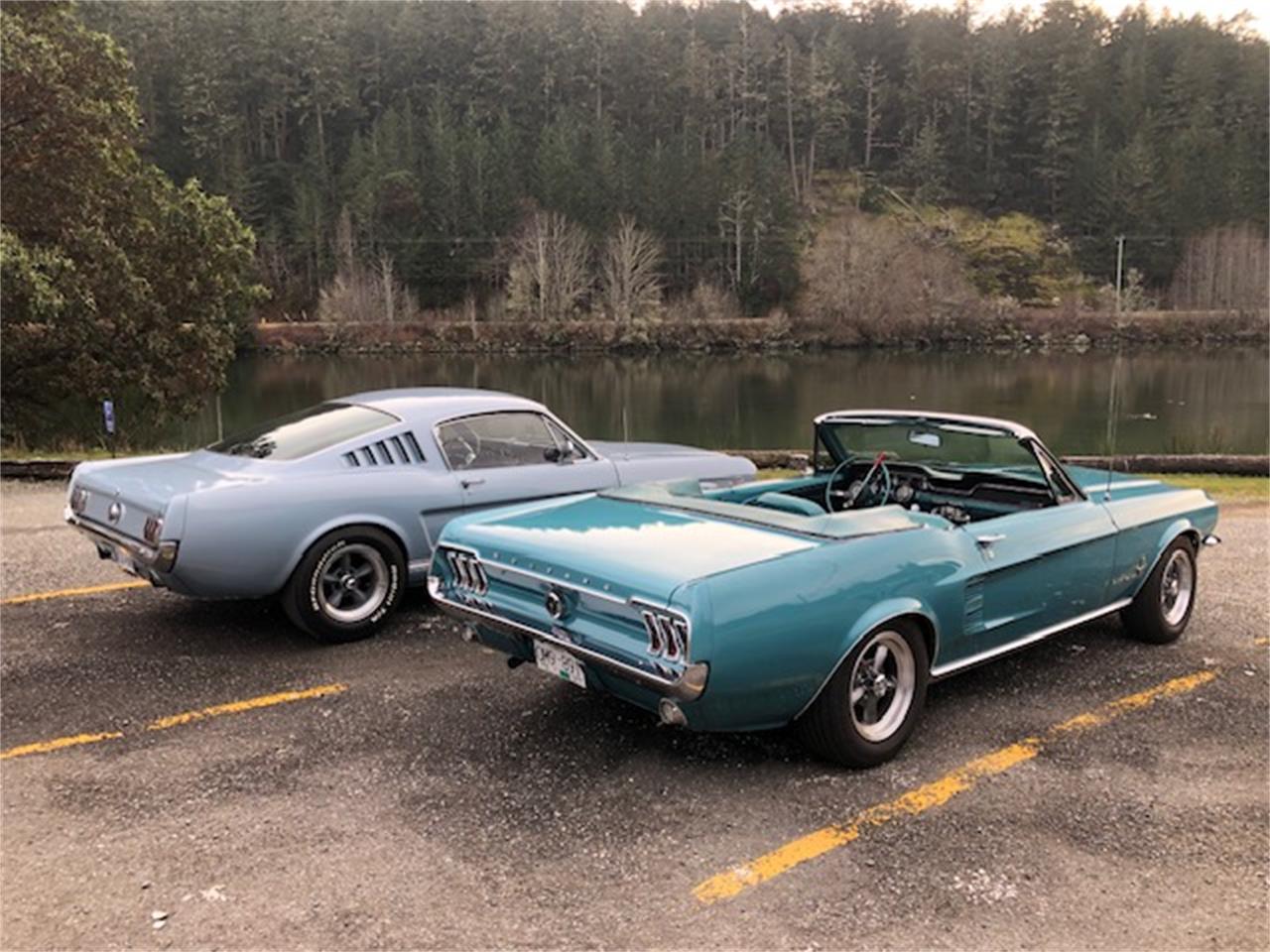 Ford-Mustang-1967-Clearwater-Aqua-Aqua-2