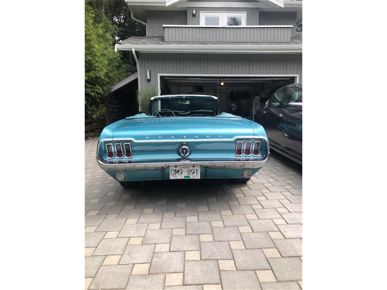 Ford-Mustang-1967-Clearwater-Aqua-Aqua-3