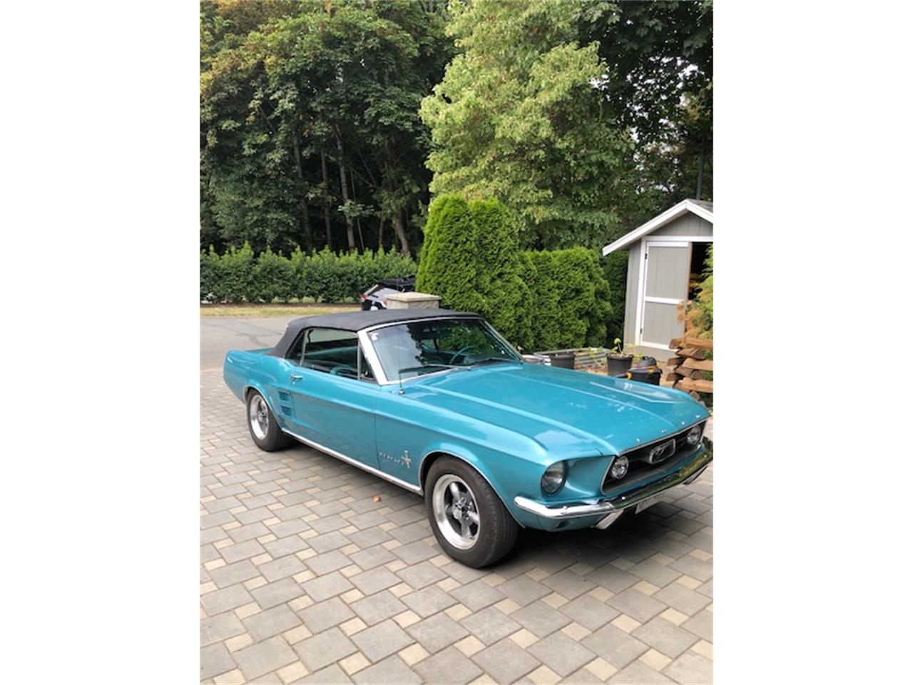 Ford-Mustang-1967-Clearwater-Aqua-Aqua-4