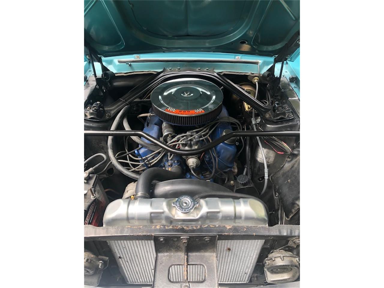 Ford-Mustang-1967-Clearwater-Aqua-Aqua-9