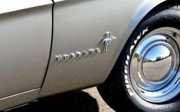 Ford-Mustang-1967-Gray-White-15