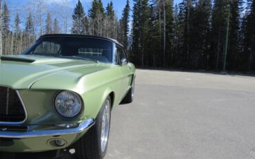 Ford-Mustang-1967-Lime-Gold-Custom-BlackCharcoal-11