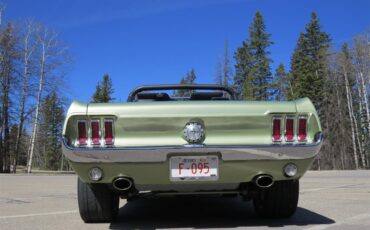 Ford-Mustang-1967-Lime-Gold-Custom-BlackCharcoal-14