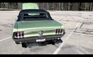 Ford-Mustang-1967-Lime-Gold-Custom-BlackCharcoal-2
