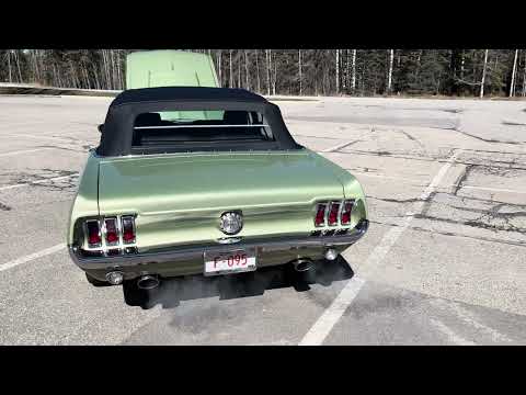 Ford-Mustang-1967-Lime-Gold-Custom-BlackCharcoal-2