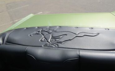 Ford-Mustang-1967-Lime-Gold-Custom-BlackCharcoal-31