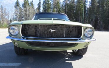 Ford-Mustang-1967-Lime-Gold-Custom-BlackCharcoal-6