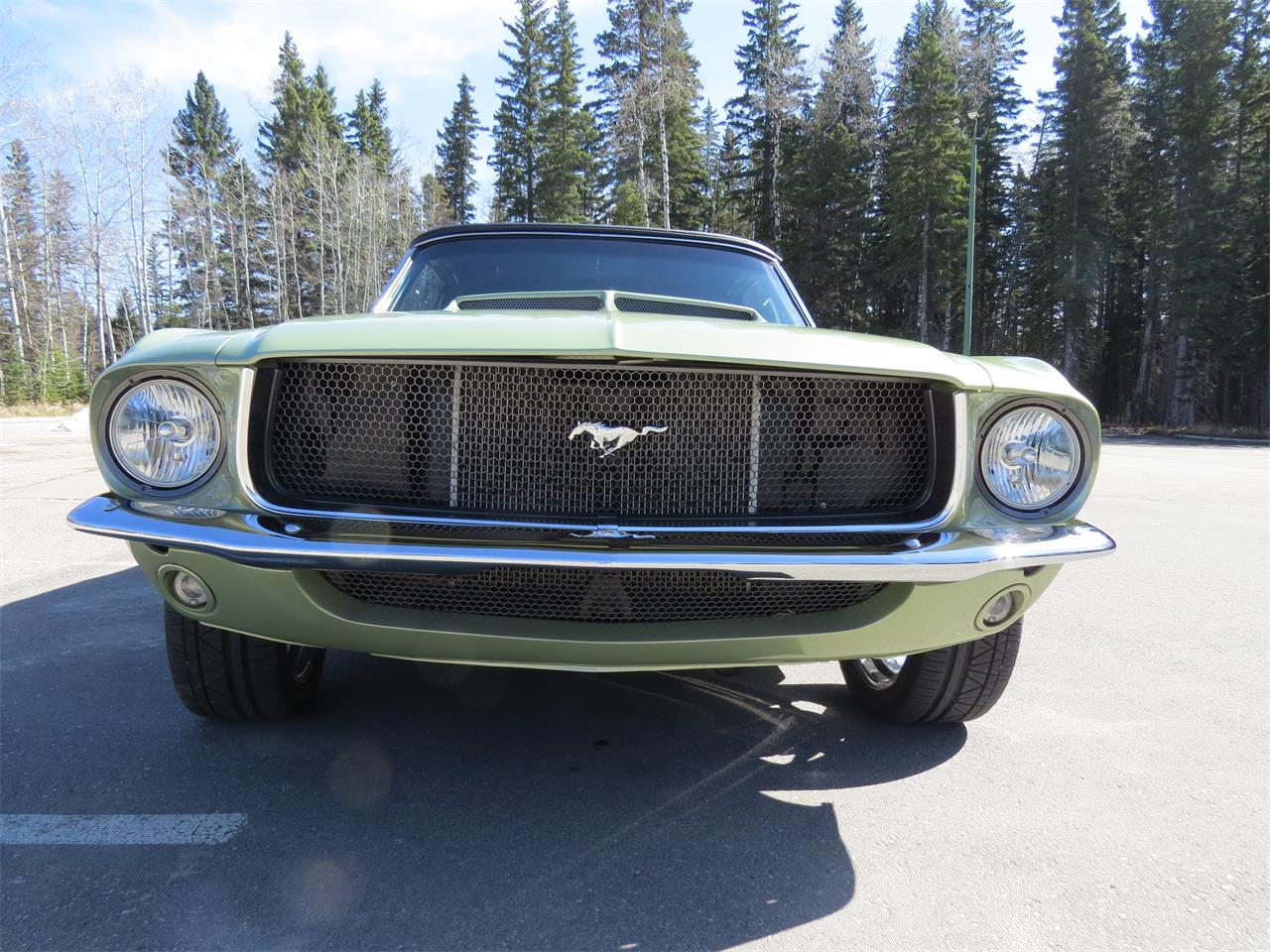 Ford-Mustang-1967-Lime-Gold-Custom-BlackCharcoal-6