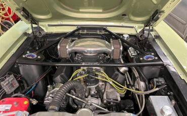 Ford-Mustang-1967-Lime-Gold-Custom-BlackCharcoal-9