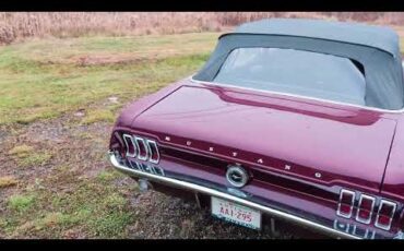 Ford-Mustang-1967-Maroon-Black-1