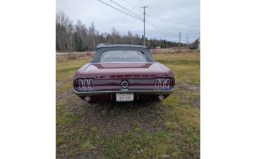 Ford-Mustang-1967-Maroon-Black-17