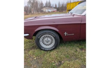 Ford-Mustang-1967-Maroon-Black-2