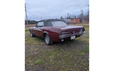Ford-Mustang-1967-Maroon-Black-3