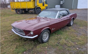 Ford-Mustang-1967-Maroon-Black