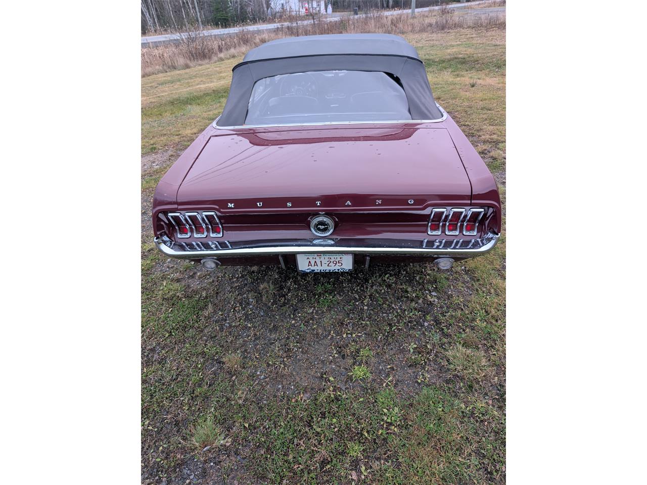 Ford-Mustang-1967-Maroon-Black-4