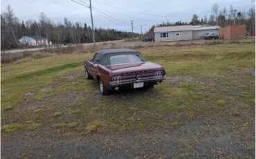 Ford-Mustang-1967-Maroon-Black-5