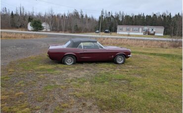 Ford-Mustang-1967-Maroon-Black-6