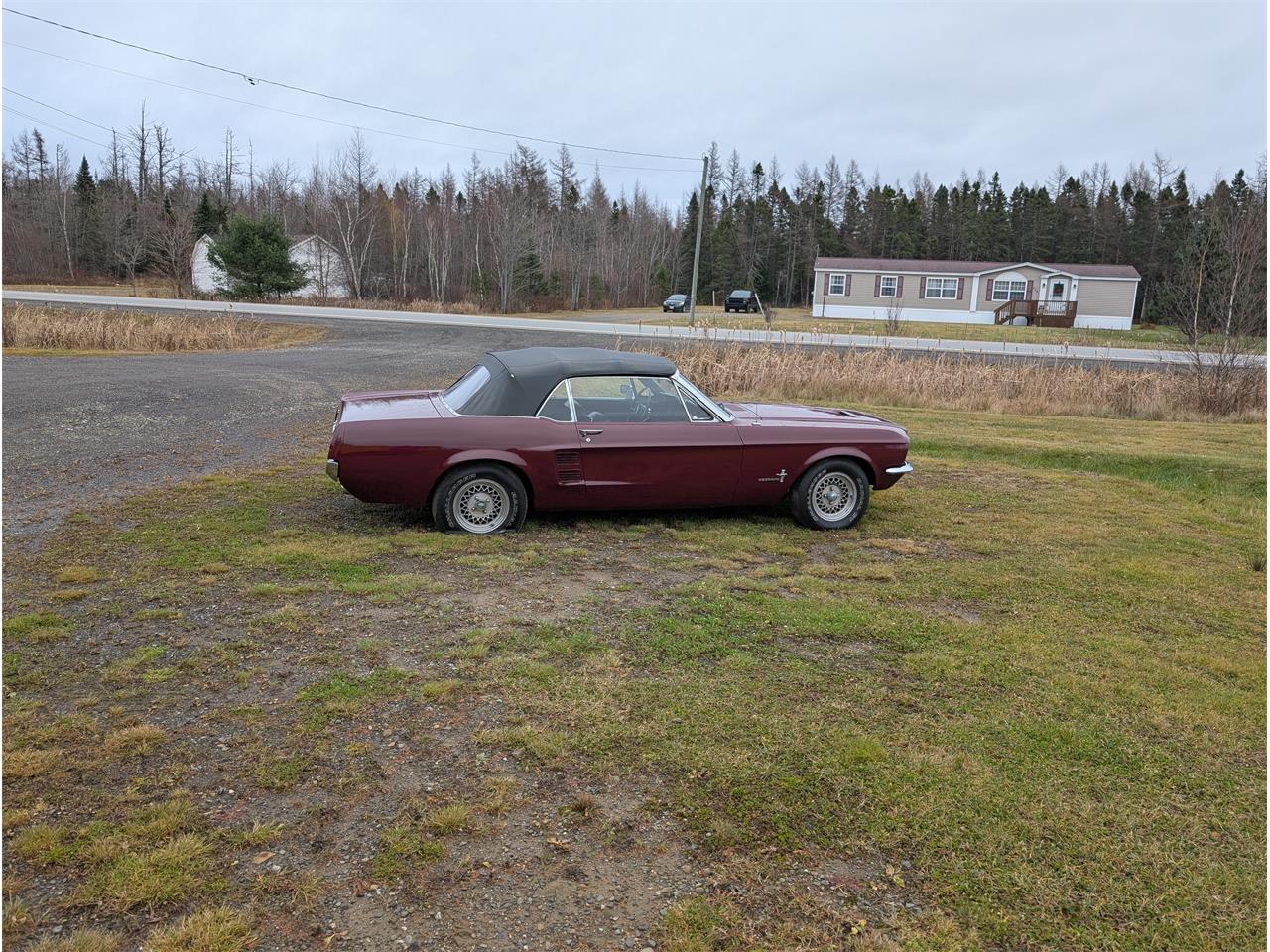Ford-Mustang-1967-Maroon-Black-6