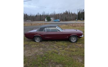 Ford-Mustang-1967-Maroon-Black-7